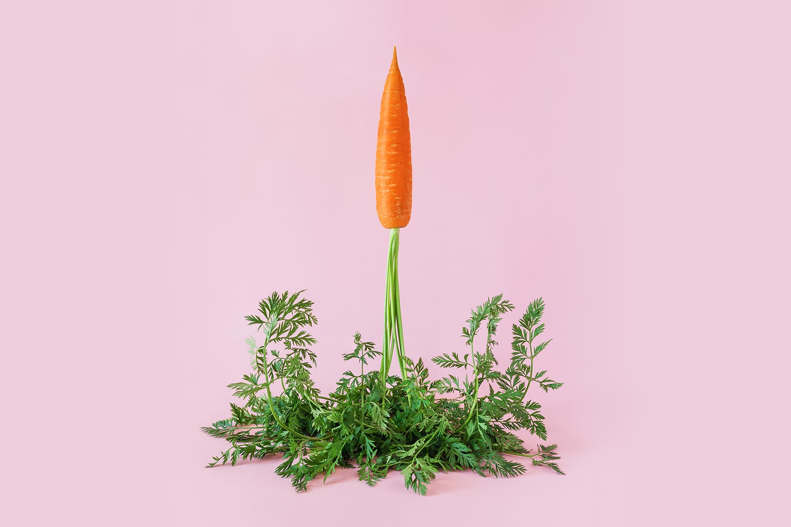 We’ve Launched Our Information Library!